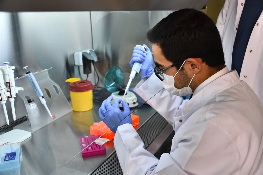 Selçuk Üniversitesi'nde Geliştirilen Türkiye'nin İlk Mrna Aşısının Yazın Kullanıma Sunulması Planlanıyor