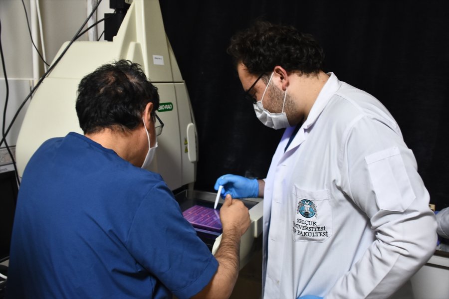 Selçuk Üniversitesi'nde Geliştirilen Türkiye'nin İlk Mrna Aşısının Yazın Kullanıma Sunulması Planlanıyor