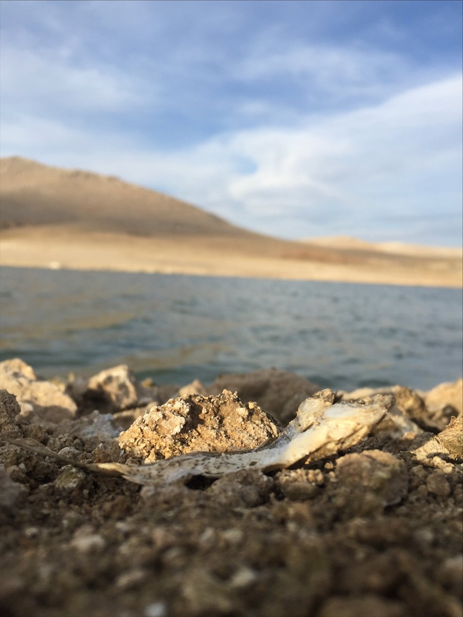 Suları Çekilen May Barajı, Kuraklığın Boyutunu Gözler Önüne Seriyor