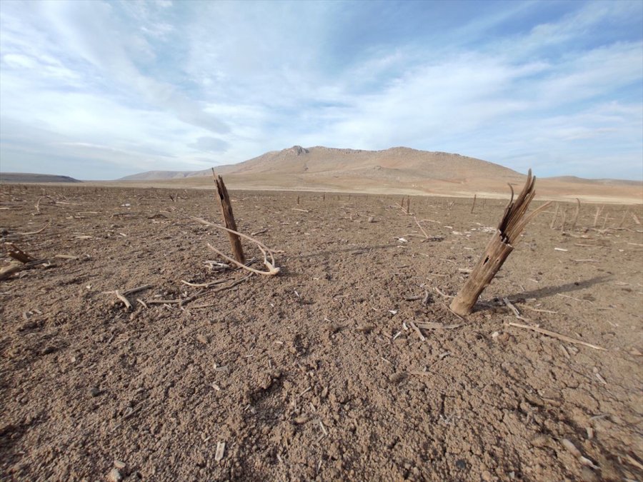 Suları Çekilen May Barajı, Kuraklığın Boyutunu Gözler Önüne Seriyor