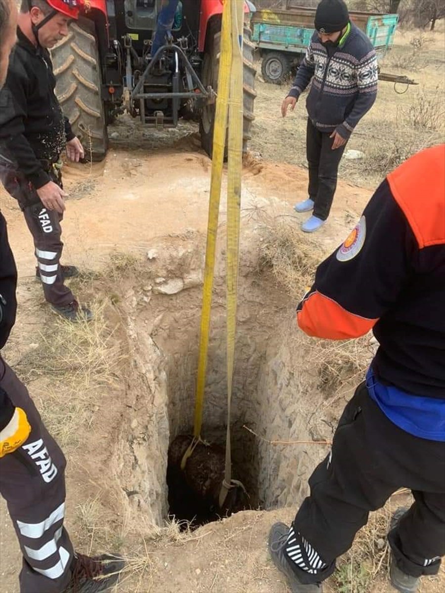 Aksaray'da Kuyuya Düşen Eşek Afad Ekiplerince Kurtarıldı