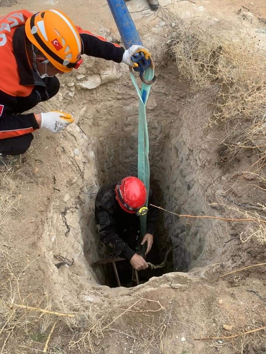 Aksaray'da Kuyuya Düşen Eşek Afad Ekiplerince Kurtarıldı