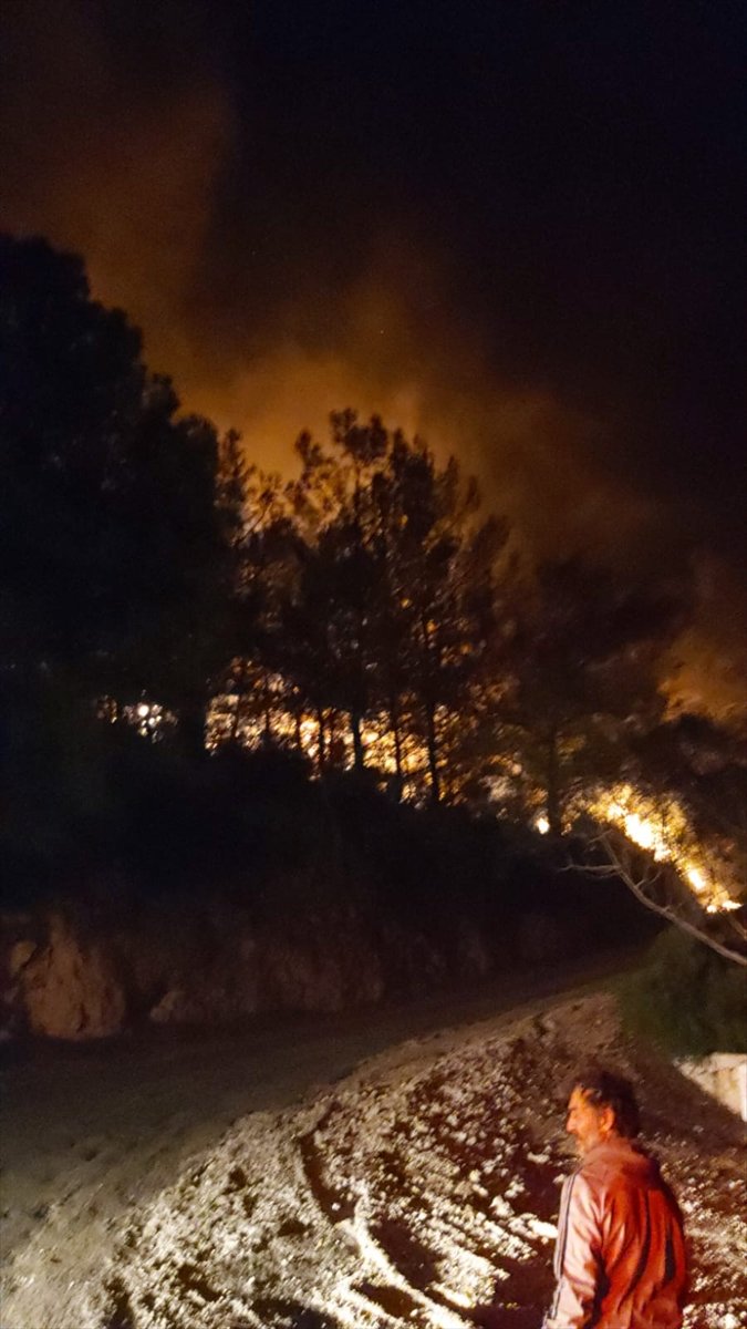 Antalya'da Çıkan Yangında 25 Dönüm Ormanlık Alan Zarar Gördü