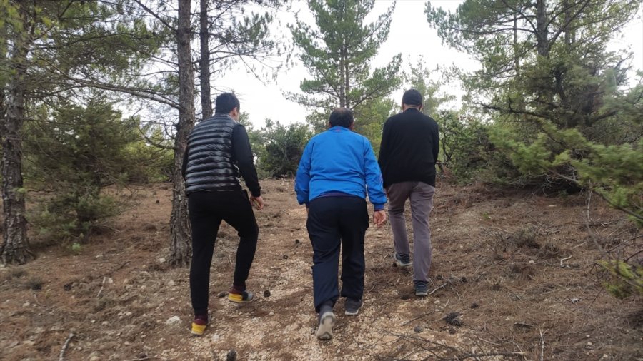 Gülnar'a Yeni Yürüyüş Yolu Yapıldı