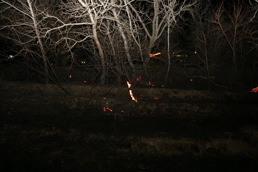 Konya'da 4 Noktada Örtü Ve Bahçe Yangını