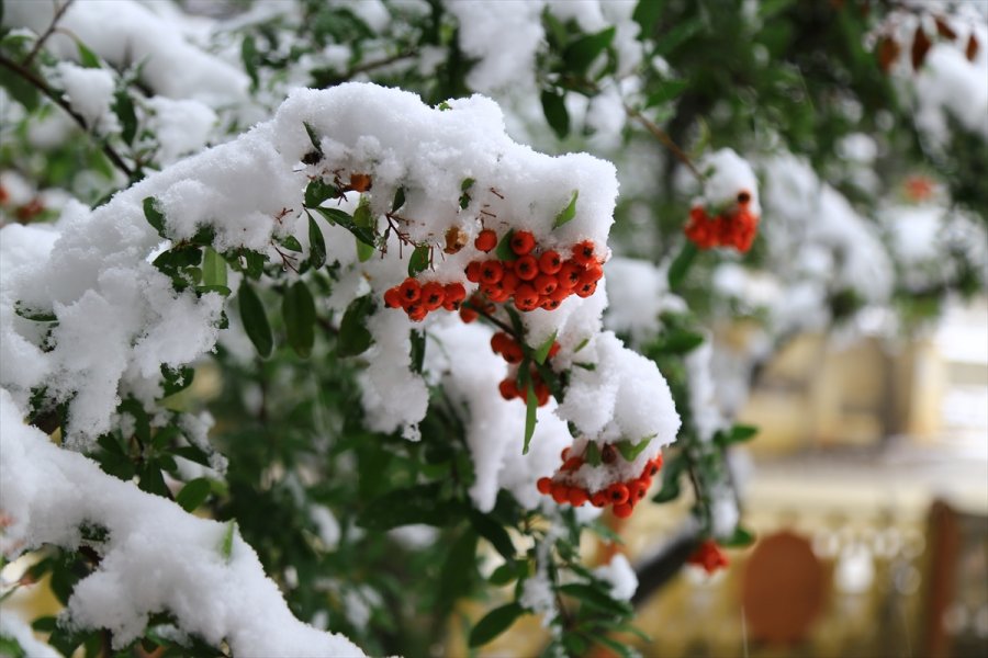Hadim'de Kar Yağışı Etkili Oluyor