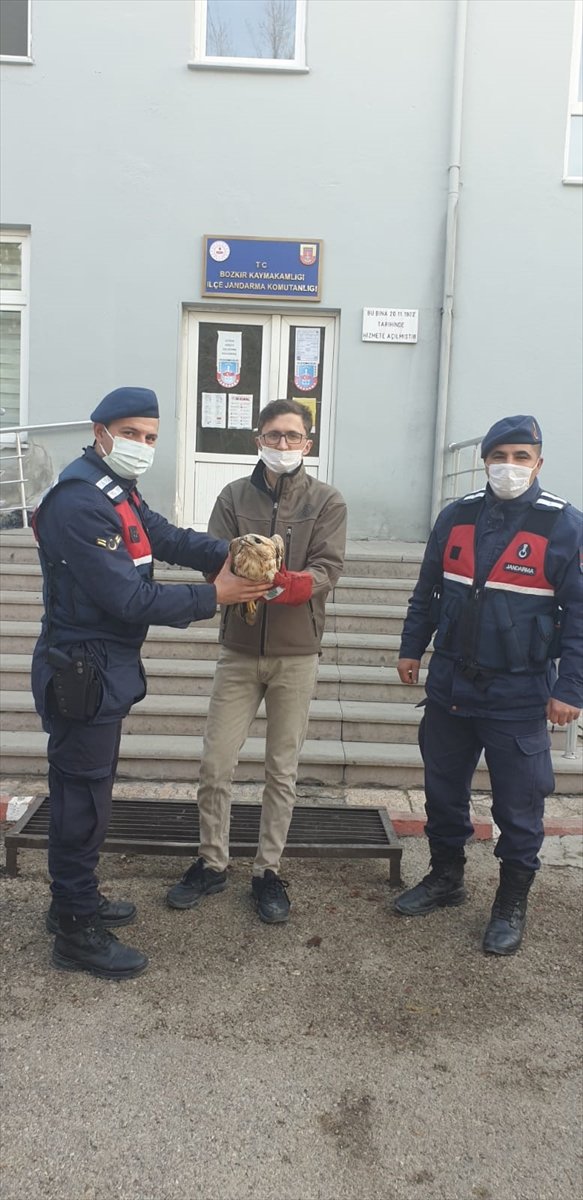 Bozkır'da Jandarma Ekipleri Yaralı Kızıl Şahine Yardım Eli Uzattı