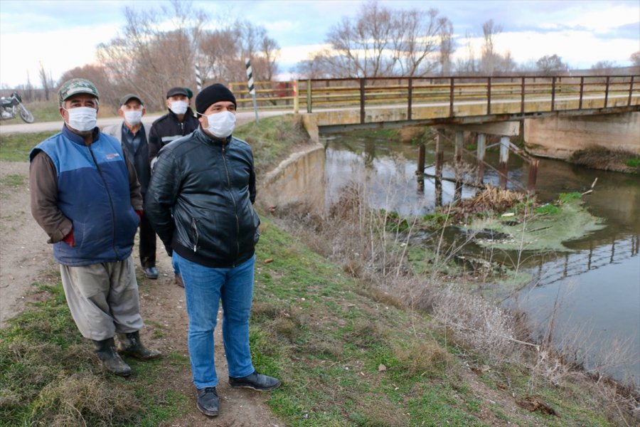 Eskişehir'de Porsuk Çayı'nda Balık Ölümleri Tespit Edildi