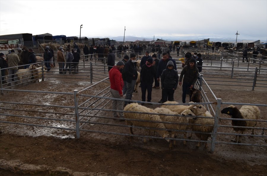 Ilgın'daki Hayvan Pazarı Yeniden Faaliyete Açıldı