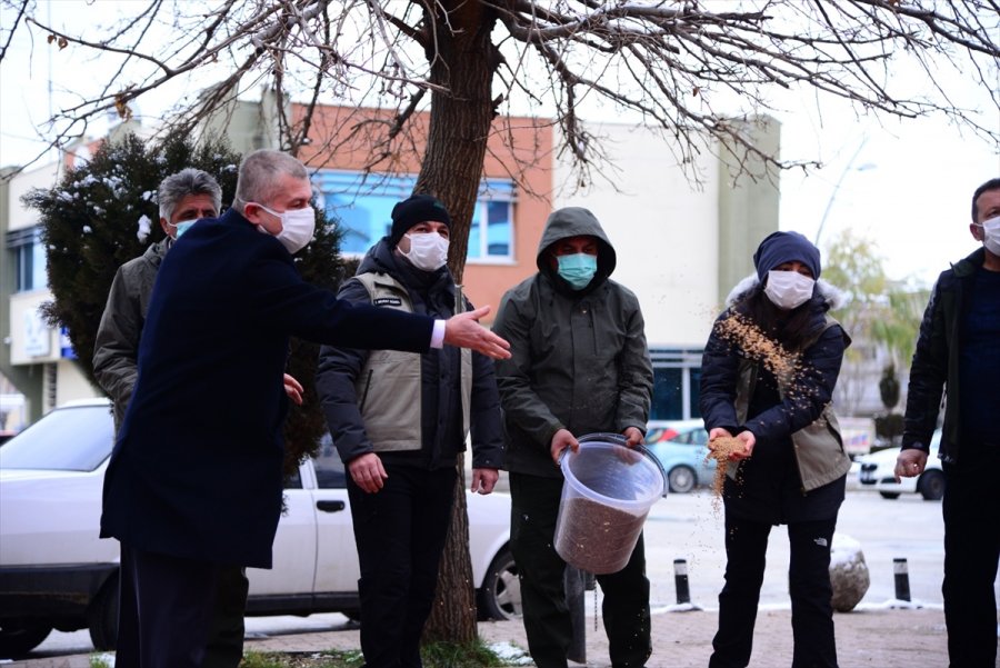 Ankara'da Sokak Ve Yaban Hayvanları İçin Yem Bırakıldı