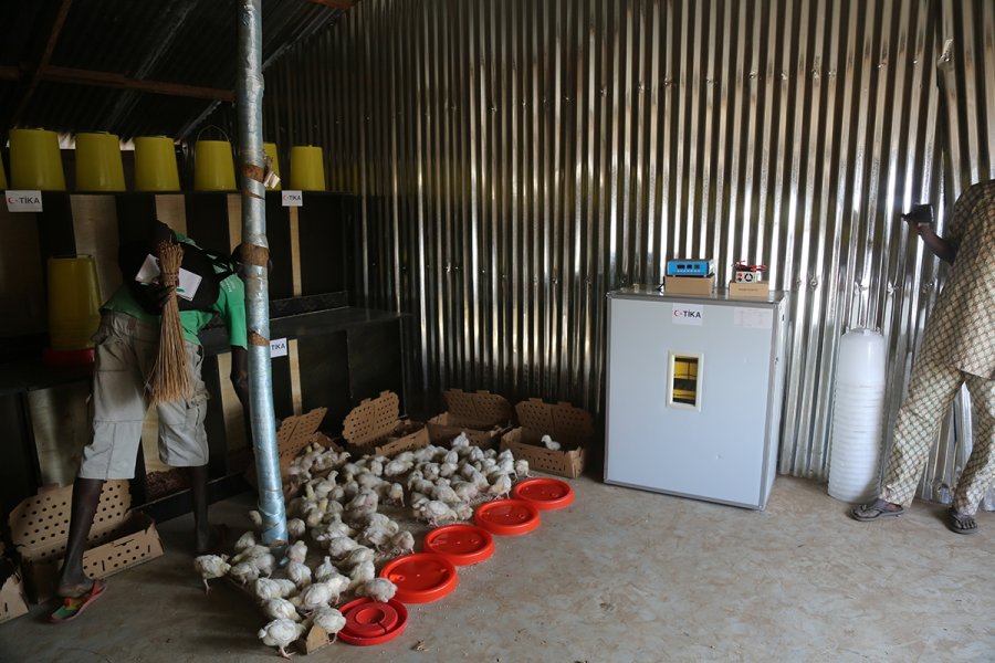 Tika Güney Sudan'daki Çiftçilere Tavukçuluk Ve Arıcılık Ekipmanı Sağladı
