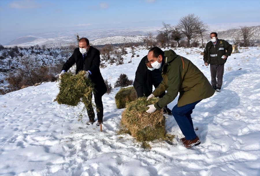 Aksaray'da Yaban Hayvanları İçin Doğaya 10 Ton Yem Bırakıldı