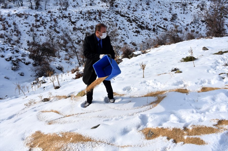 Aksaray'da Yaban Hayvanları İçin Doğaya 10 Ton Yem Bırakıldı