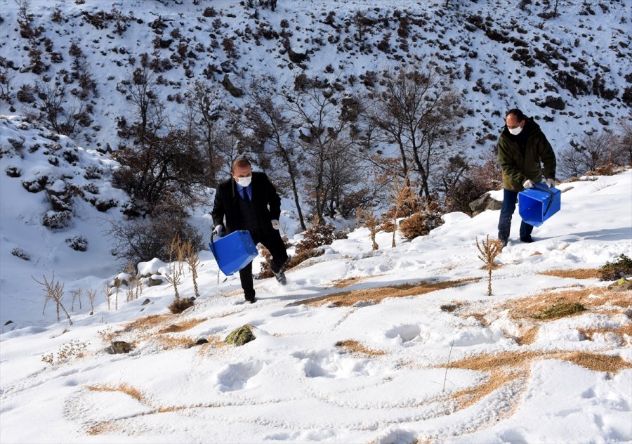 Aksaray'da Yaban Hayvanları İçin Doğaya 10 Ton Yem Bırakıldı
