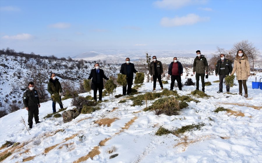 Aksaray'da Yaban Hayvanları İçin Doğaya 10 Ton Yem Bırakıldı