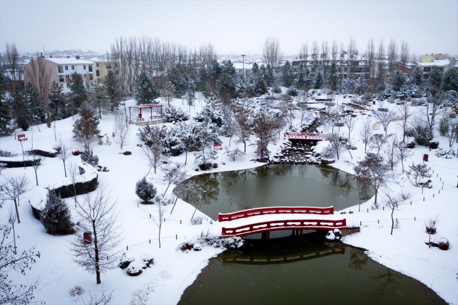 Eskişehir Hayvanat Bahçesi'nin Ev Sahipleri Karın Keyfini Çıkarıyor