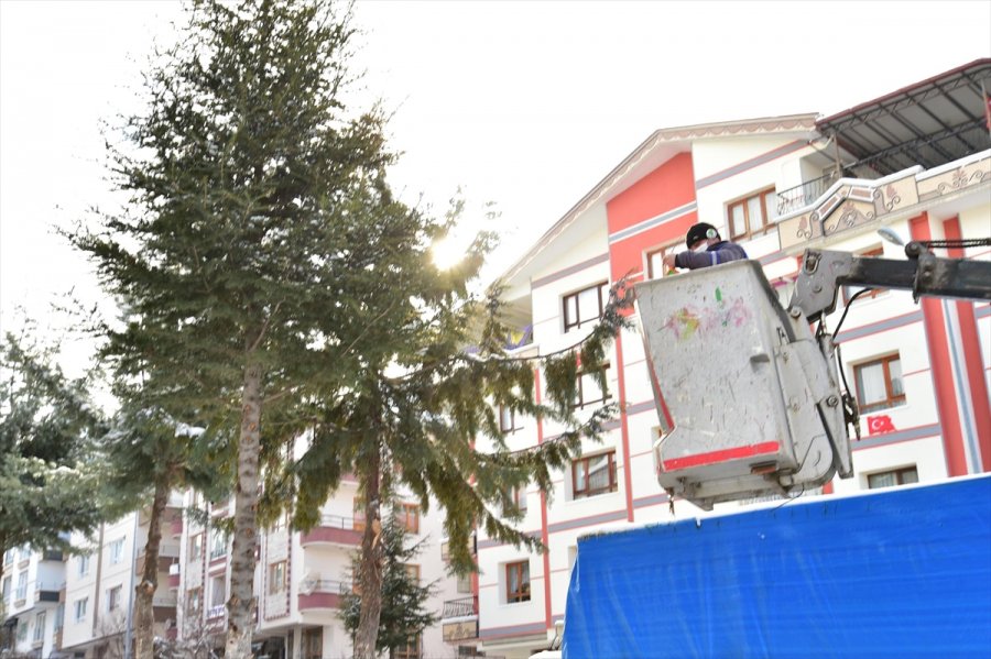 Mamak Belediyesi Kuş Yuvası İsteyen Çocuğun Dileğini Yerine Getirdi