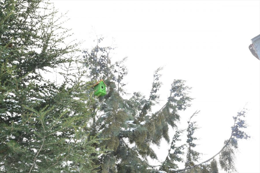 Mamak Belediyesi Kuş Yuvası İsteyen Çocuğun Dileğini Yerine Getirdi