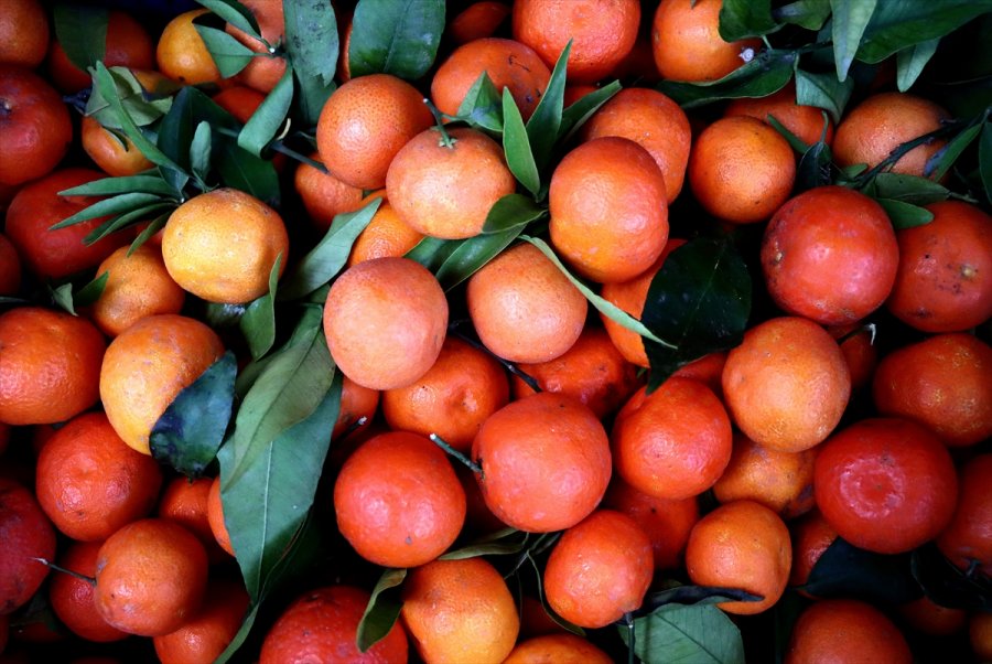 Yaş Meyve Sebzede 2020'nin İhracat Şampiyonu Mersin Oldu