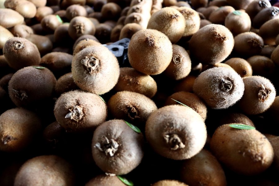 Yaş Meyve Sebzede 2020'nin İhracat Şampiyonu Mersin Oldu