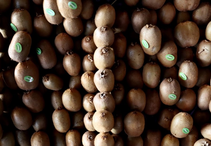 Yaş Meyve Sebzede 2020'nin İhracat Şampiyonu Mersin Oldu