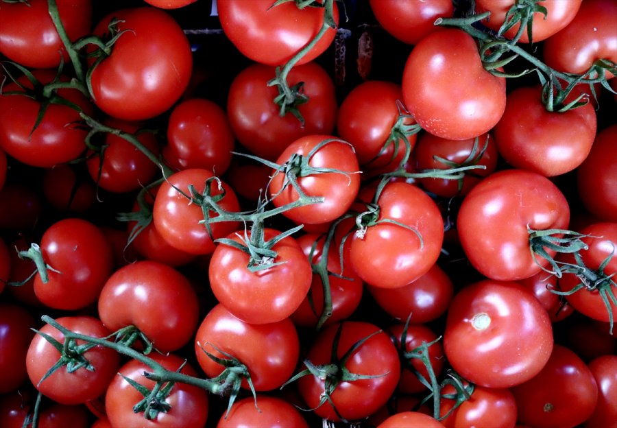 Yaş Meyve Sebzede 2020'nin İhracat Şampiyonu Mersin Oldu