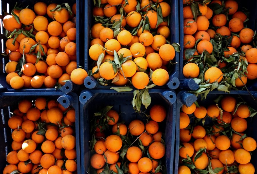 Yaş Meyve Sebzede 2020'nin İhracat Şampiyonu Mersin Oldu