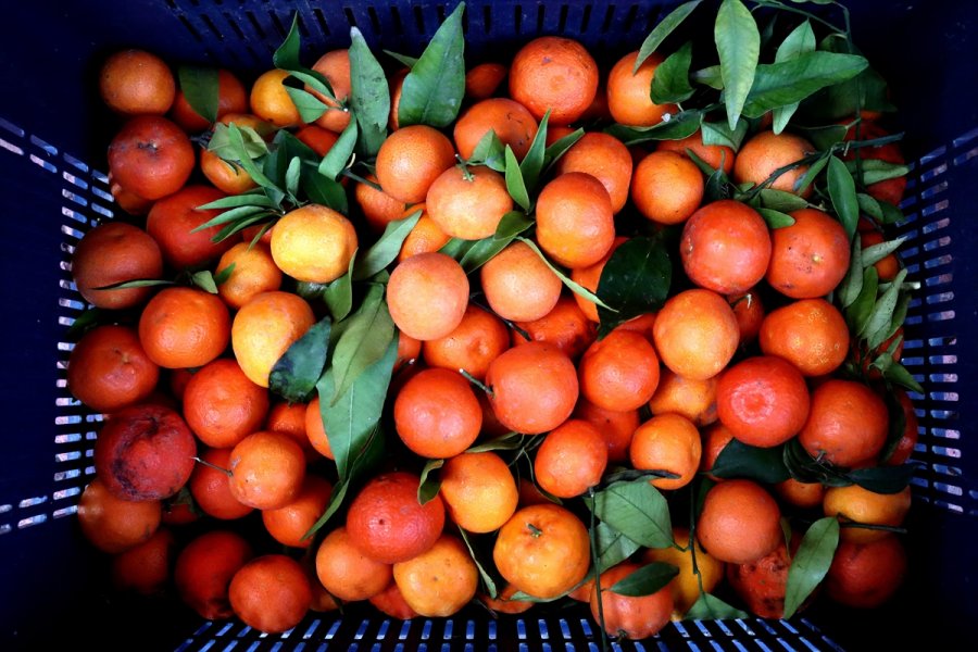 Yaş Meyve Sebzede 2020'nin İhracat Şampiyonu Mersin Oldu