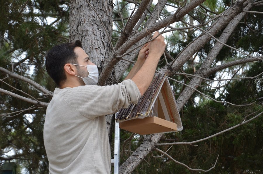 Hayvan Dostu Öğretmenler, Geri Dönüşüm Malzemeleriyle Kuşları Yuva Sahibi Yaptı