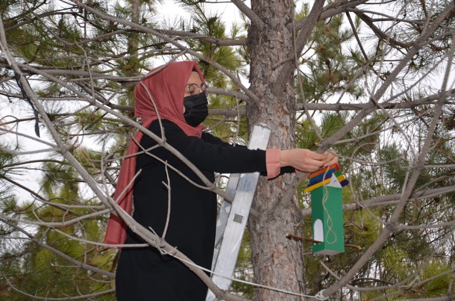 Hayvan Dostu Öğretmenler, Geri Dönüşüm Malzemeleriyle Kuşları Yuva Sahibi Yaptı