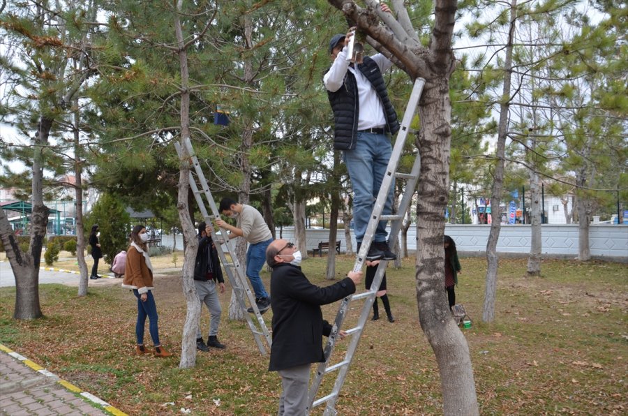 Hayvan Dostu Öğretmenler, Geri Dönüşüm Malzemeleriyle Kuşları Yuva Sahibi Yaptı