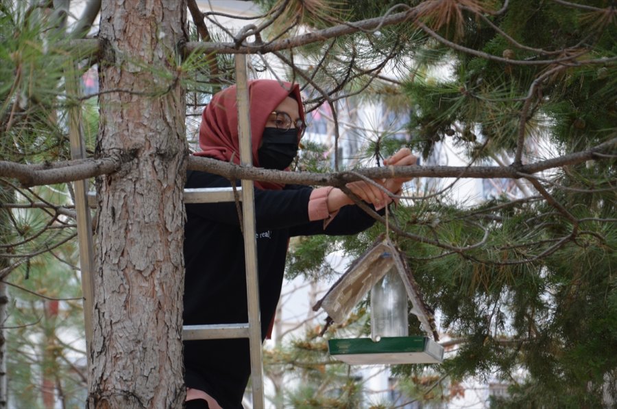 Hayvan Dostu Öğretmenler, Geri Dönüşüm Malzemeleriyle Kuşları Yuva Sahibi Yaptı