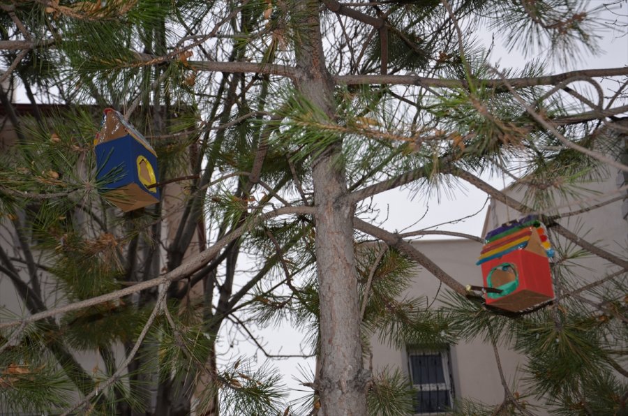 Hayvan Dostu Öğretmenler, Geri Dönüşüm Malzemeleriyle Kuşları Yuva Sahibi Yaptı