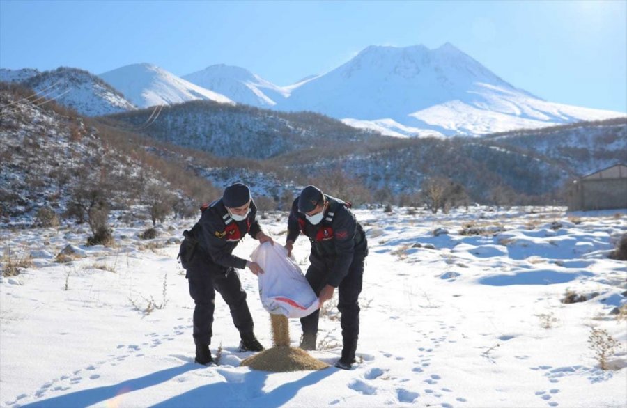 Aksaray'da Jandarma Yaban Hayvanlarını Unutmadı