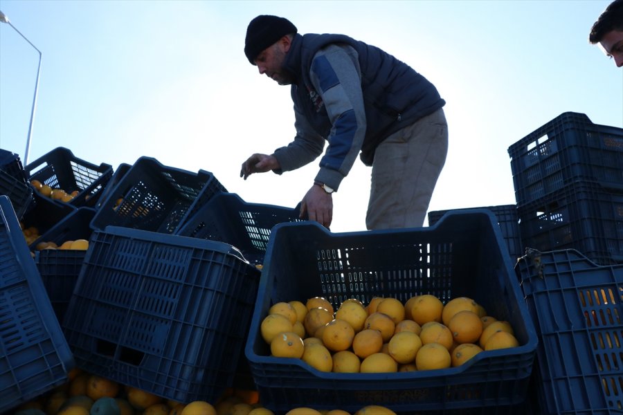 Niğde'de Seyir Halinde Olan Tırdaki Limon Yüklü Kasalar Yola Saçıldı