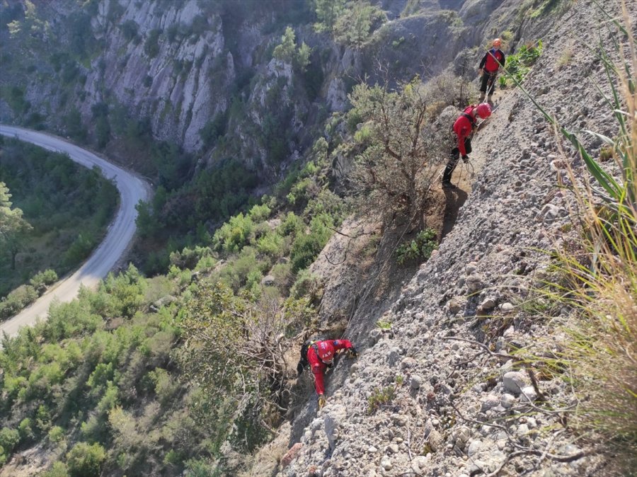 Antalya'da Uçurumda Mahsur Kalan 3 Keçiyi Jandarma Kurtardı