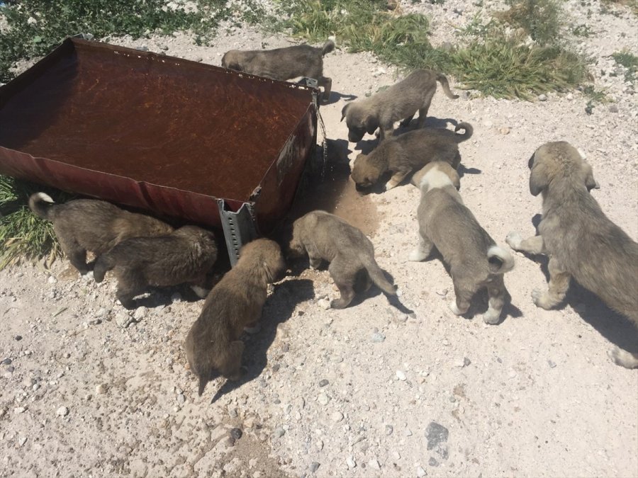 Çiftlik Belediye Başkanı Güzel'e 