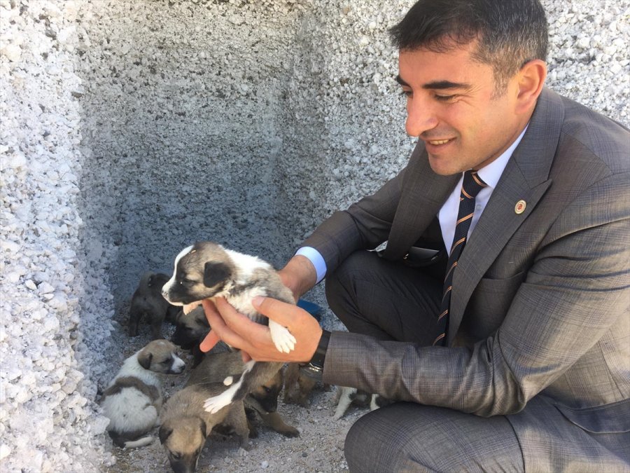 Çiftlik Belediye Başkanı Güzel'e 