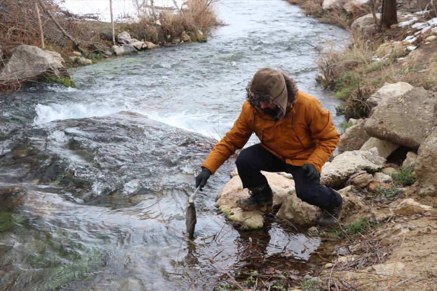 Doğada Yaptığı Yemeklerle Kentleri Tanıtıyor