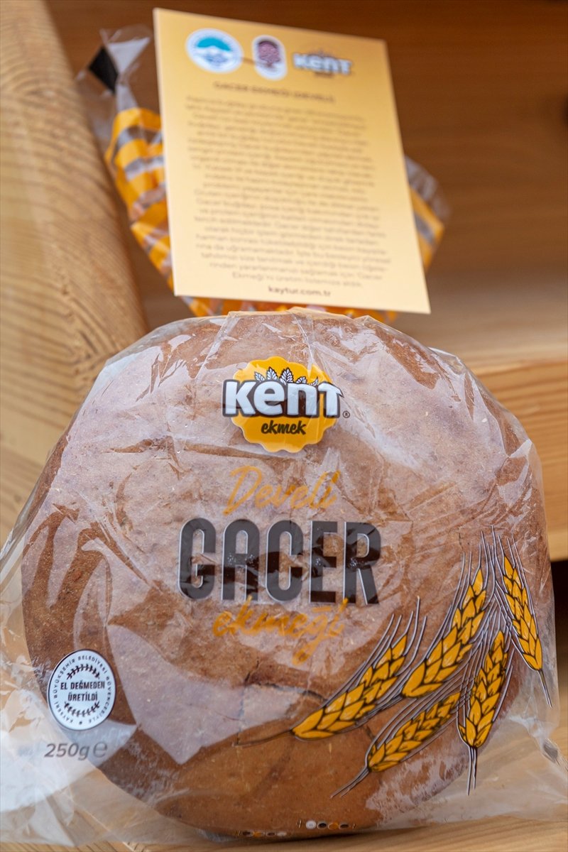 Büyükşehir Belediyesi 