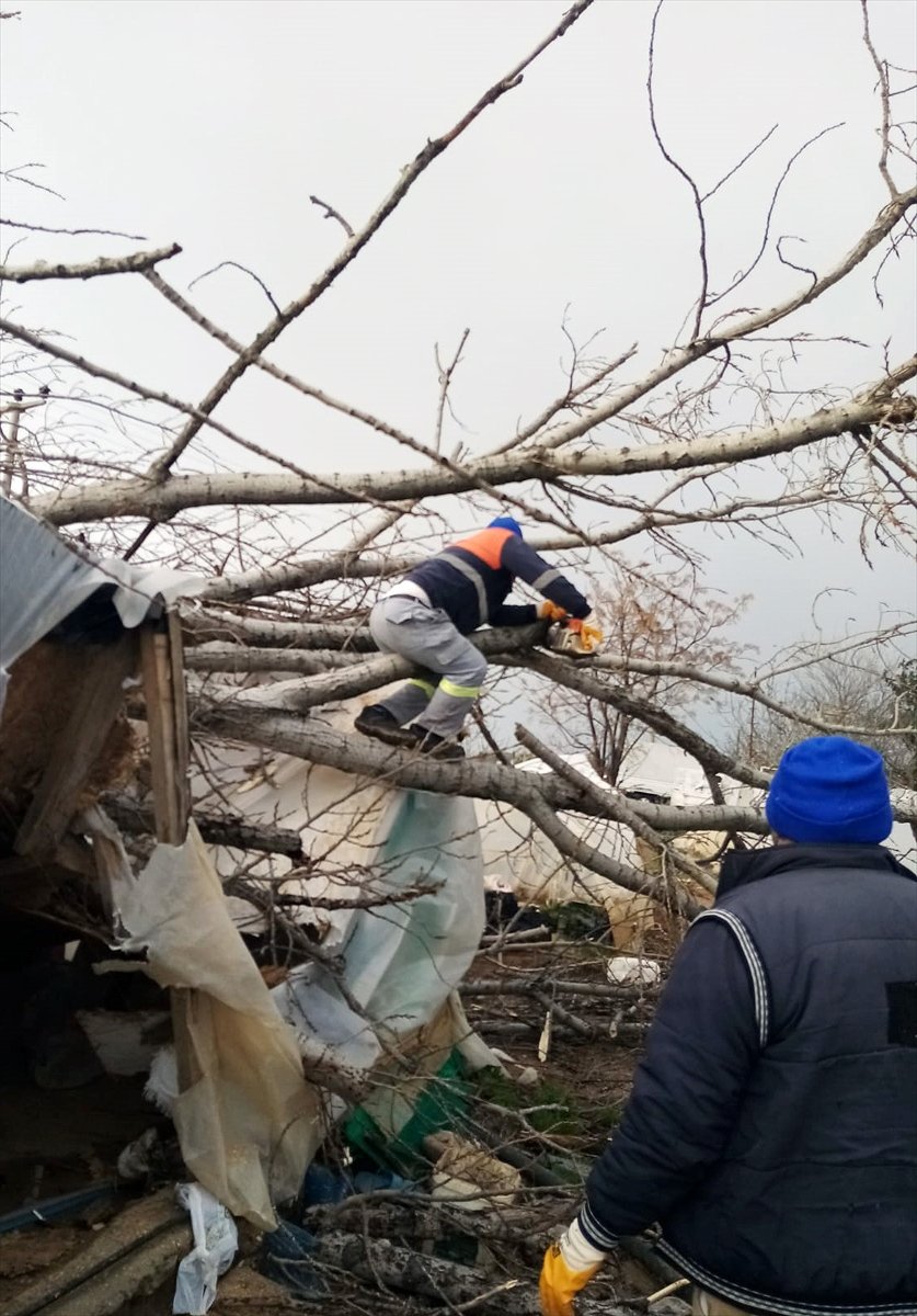 Güncelleme 2 - Antalya'da Kuvvetli Rüzgar Ve Sağanak Etkili Oluyor