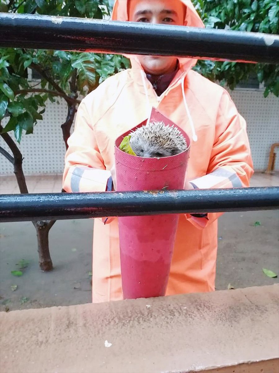 Güncelleme 2 - Antalya'da Kuvvetli Rüzgar Ve Sağanak Etkili Oluyor