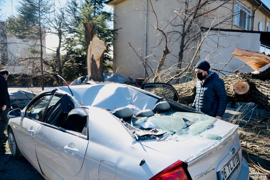 Eskişehir'de Şiddetli Rüzgarda Park Halindeki Otomobilin Üzerine Ağaç Devrildi