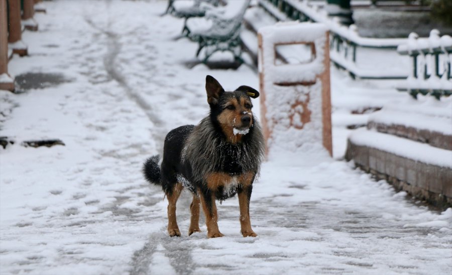 Eskişehir Ve Kütahya'da Kar Yağışı Etkili Oldu