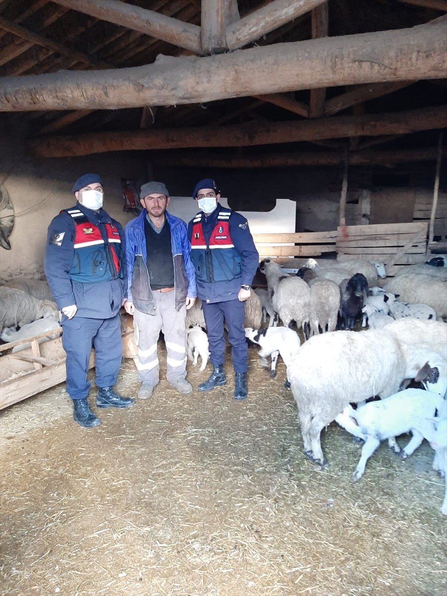 Konya'da Çalınan 124 Küçükbaş Hayvandan 99'u Sahibine Teslim Edildi