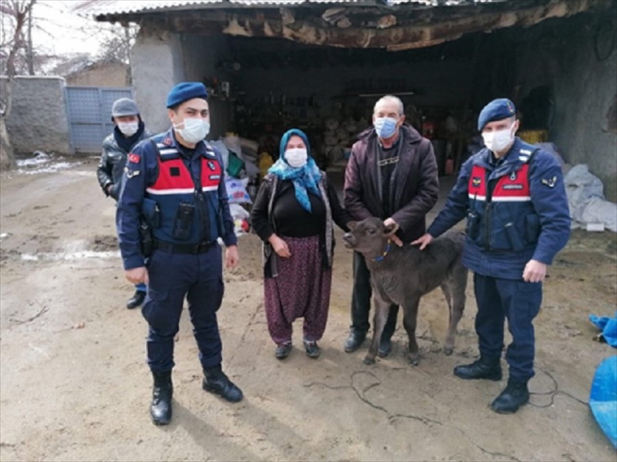 Eskişehir'de Aranan Hayvan Hırsızlığı Zanlıları Gürcistan'a Kaçarken Artvin'de Yakalandı