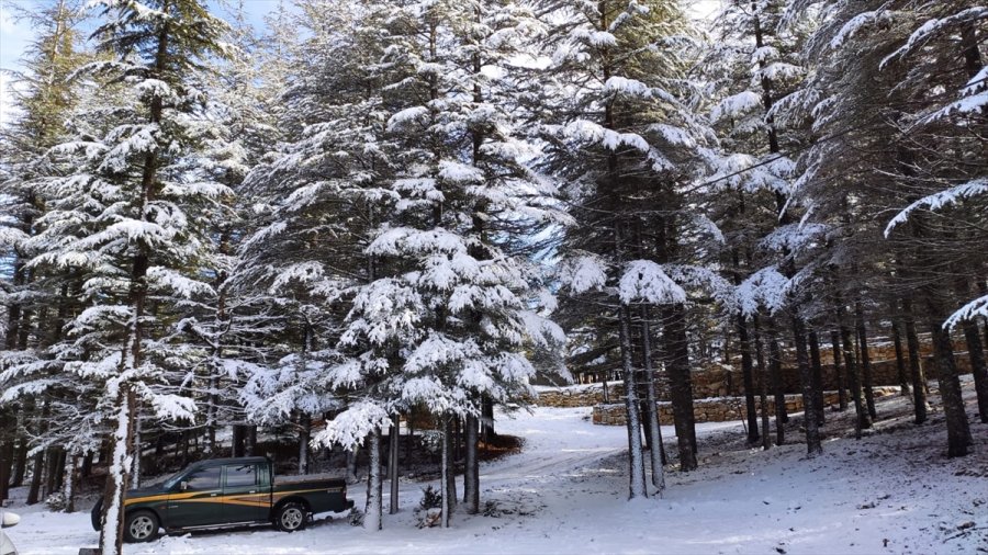 Gülnar Beyaza Büründü