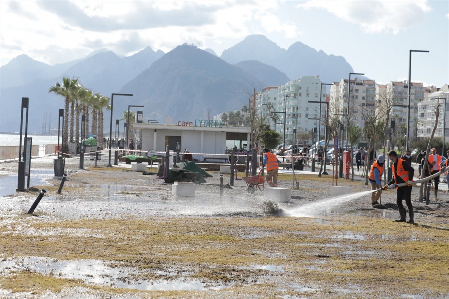 Rüzgar Ve Sağanaktan Zarar Gören Konyaaltı Sahili'nde Onarım Ve Temizlik Yapılıyor