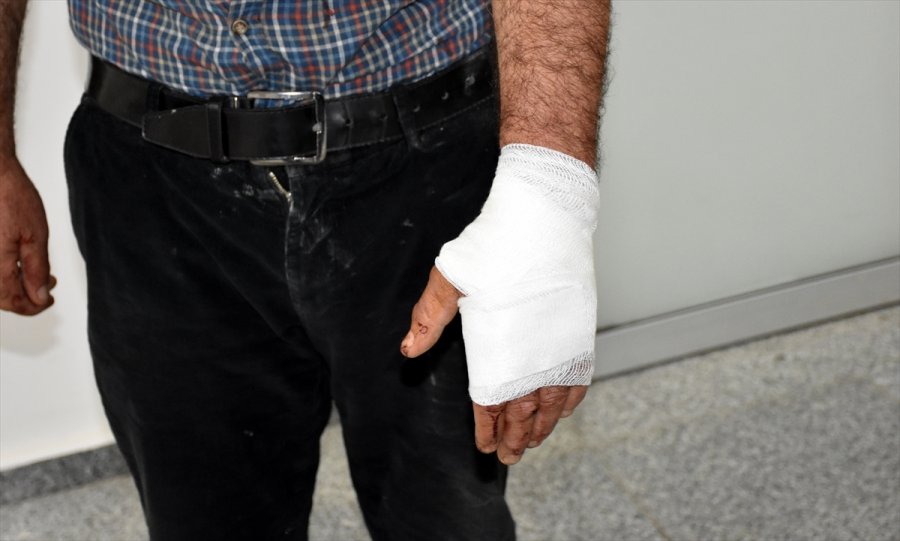 Aksaray'da Sokak Köpeğinin Saldırısına Uğrayan Kişi Yaralandı