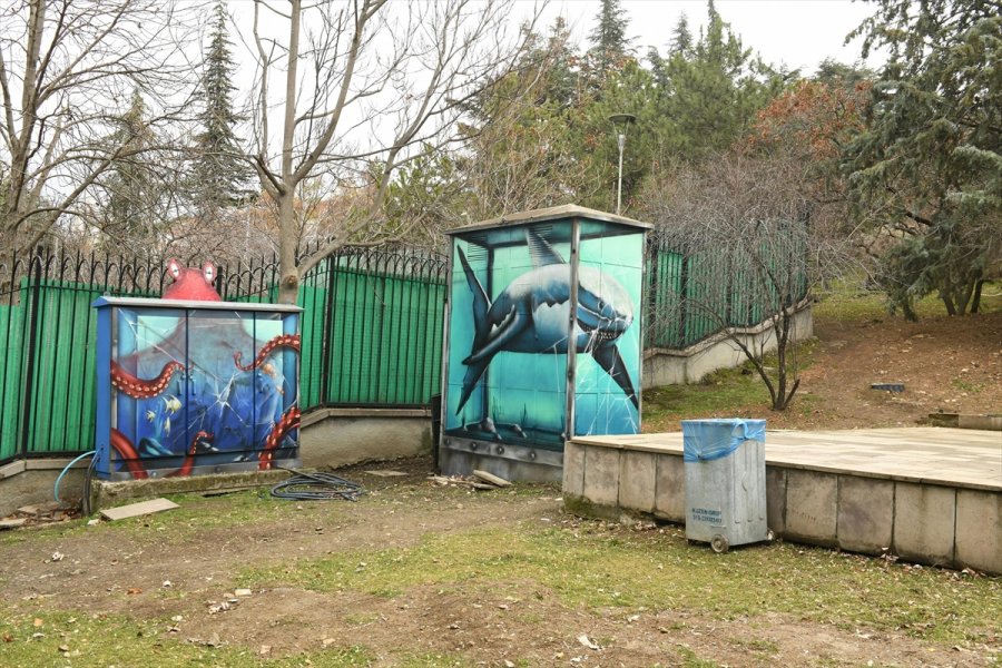 Ankara'da Botanik Park Grafitiyle Renklendi